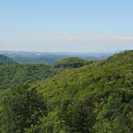 Gasthof La Di Maur - Camere & Appartamenti *