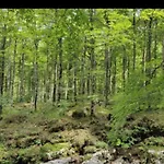 La Di Maur - Camere & Appartamenti * Attimis