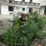 La Di Maur - Camere & Appartamenti Gasthof