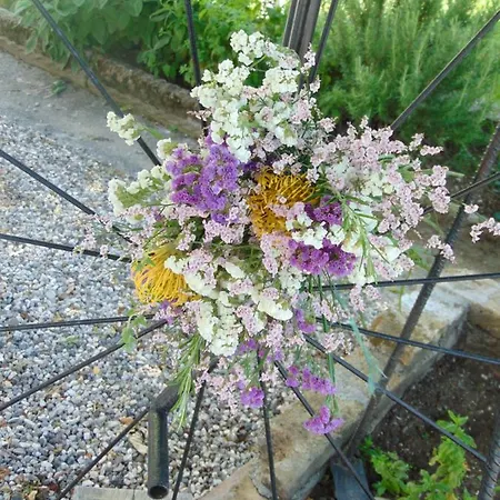 Fragole E Menta Maison d'hôtes *