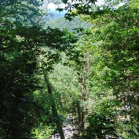 Fragole E Menta Maison d'hôtes *