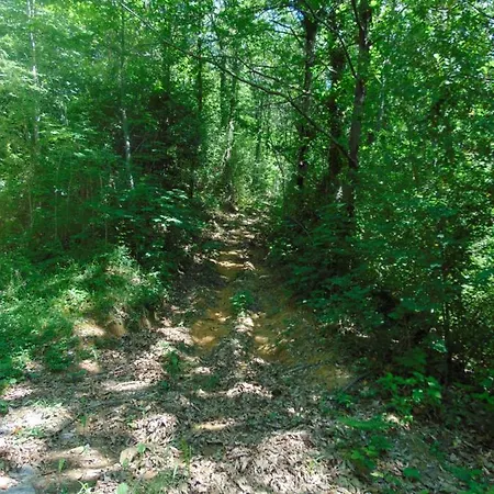 Fragole E Menta Attimis