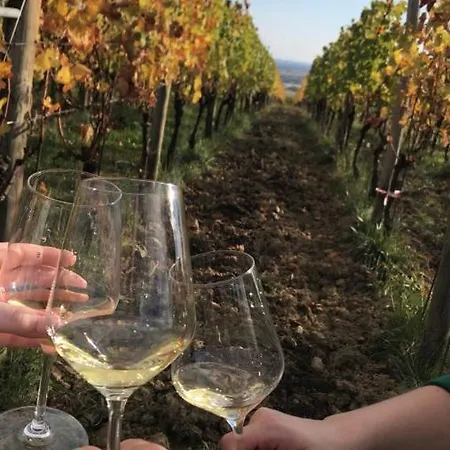 Maison d'hôtes Fragole E Menta *