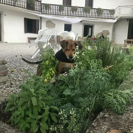 Fragole E Menta Maison d'hôtes