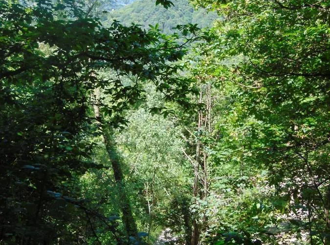 Fragole E Menta Pensión *