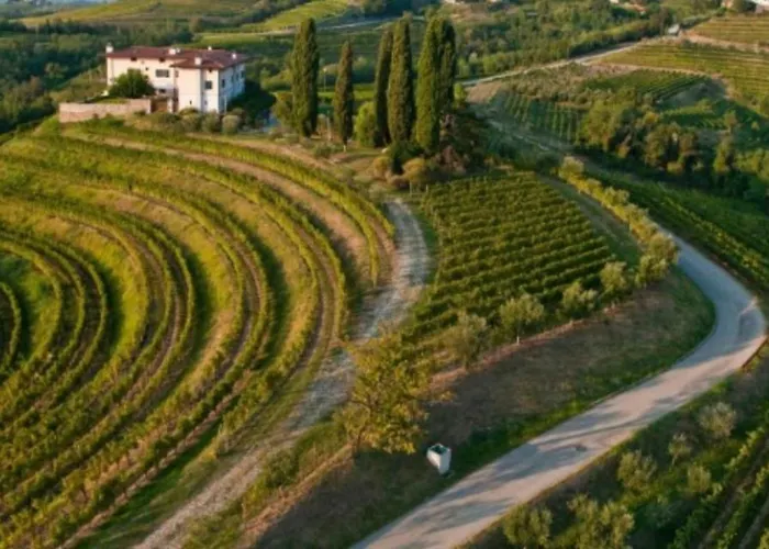 Fragole E Menta Pensión *