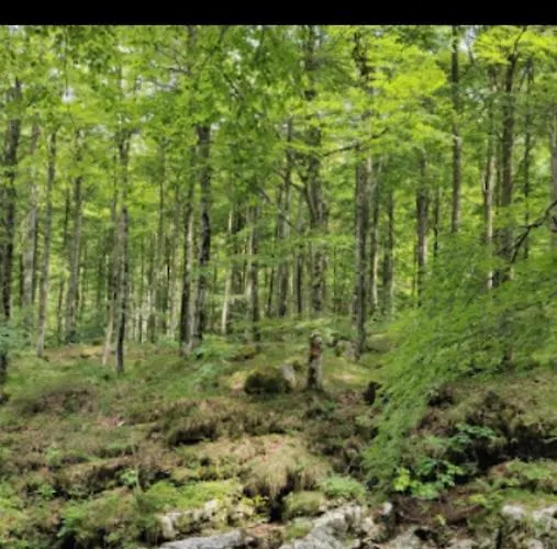 Fragole E Menta * Attimis