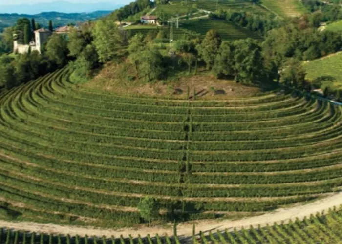 Fragole E Menta Pensión *