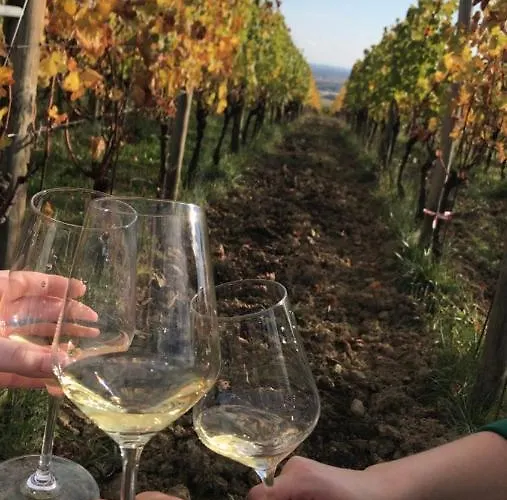 Pensión Fragole E Menta *