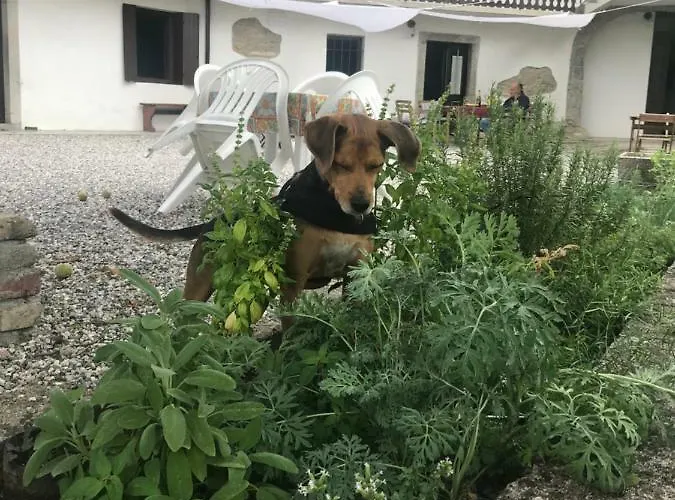 Fragole E Menta Pensión